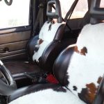 1986_johnday-or_frontseats