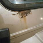 1988_wellman-ia-dents